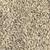 Graines de Tournesol Bio