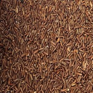 Riz au Jasmin Rouge Bio