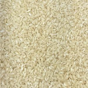 Riz Arborio Bio
