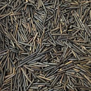 Riz Sauvage Long Bio