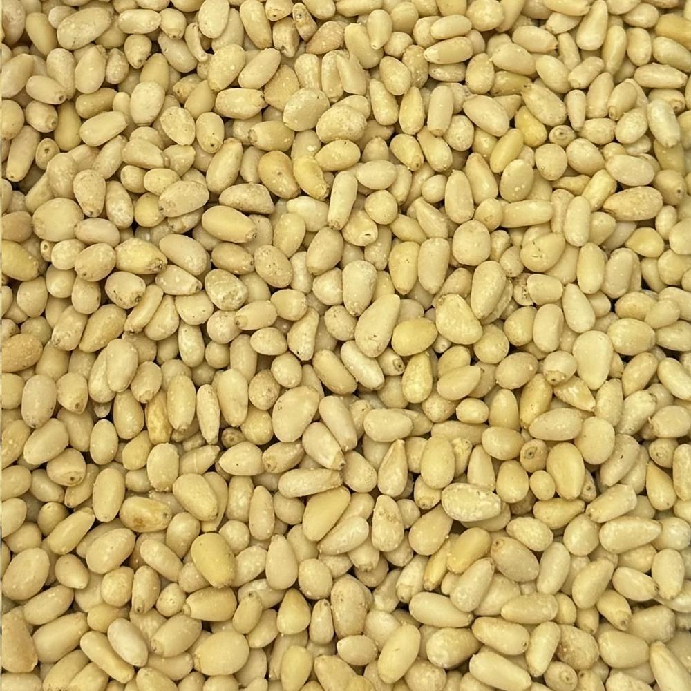 Noix de Pin Bio 12.53kg