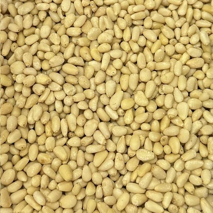 Noix de Pin Bio 12.53kg