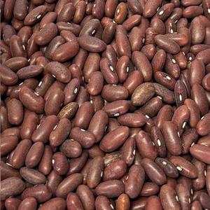 Haricot Rouge Bio