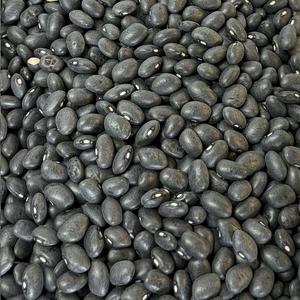 Organic Black Bean