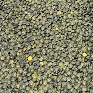 Lentille Francaise Bio