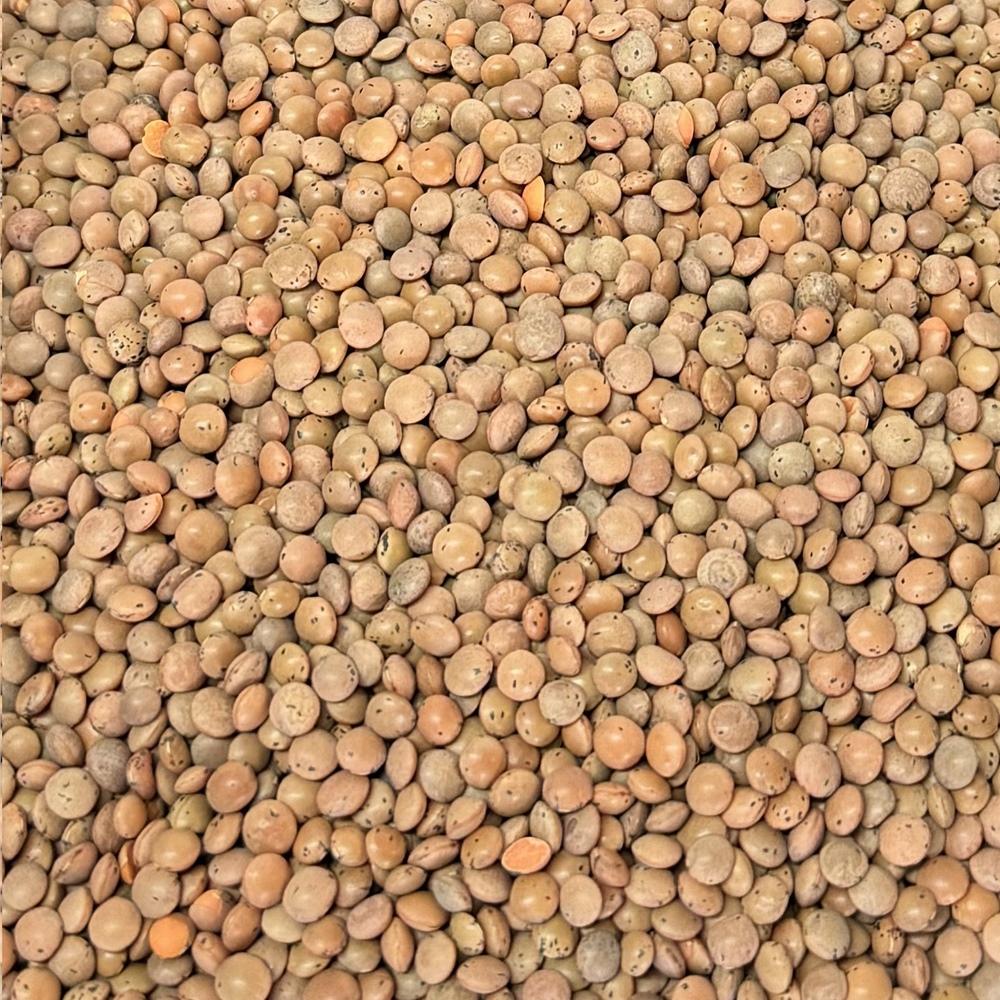 Lentille Brune Bio 11.35kg