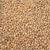 Lentille Brune Bio
