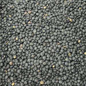 Lentille Beluga Bio