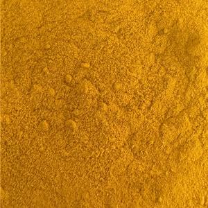 Curcuma moulu Bio