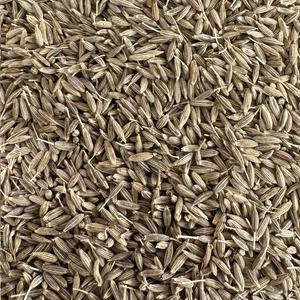 Cumin Bio