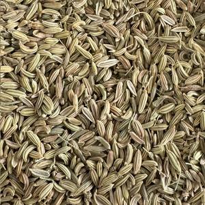 Fenouil Entier Bio