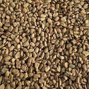 Organic fenugreek