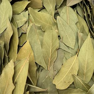 Laurier Feuille Bio