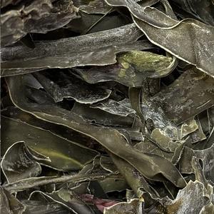 Kombu Entière (Laminaire digitée)
