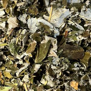 Framboisier, Feuille Bio