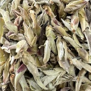 White tea Nan Mei wild tree buds