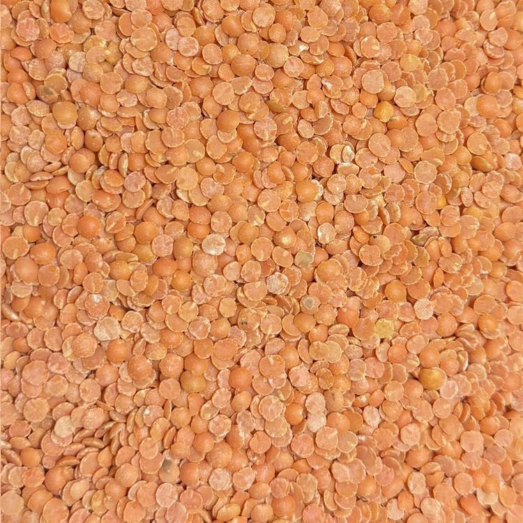 Lentille Rouge Bio 11.36kg