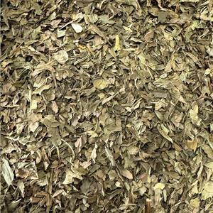 Menthe Douce Biologique