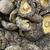 Shiitake Séchés