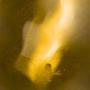 Sweet clover extract