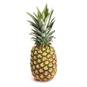 Ananas Bio